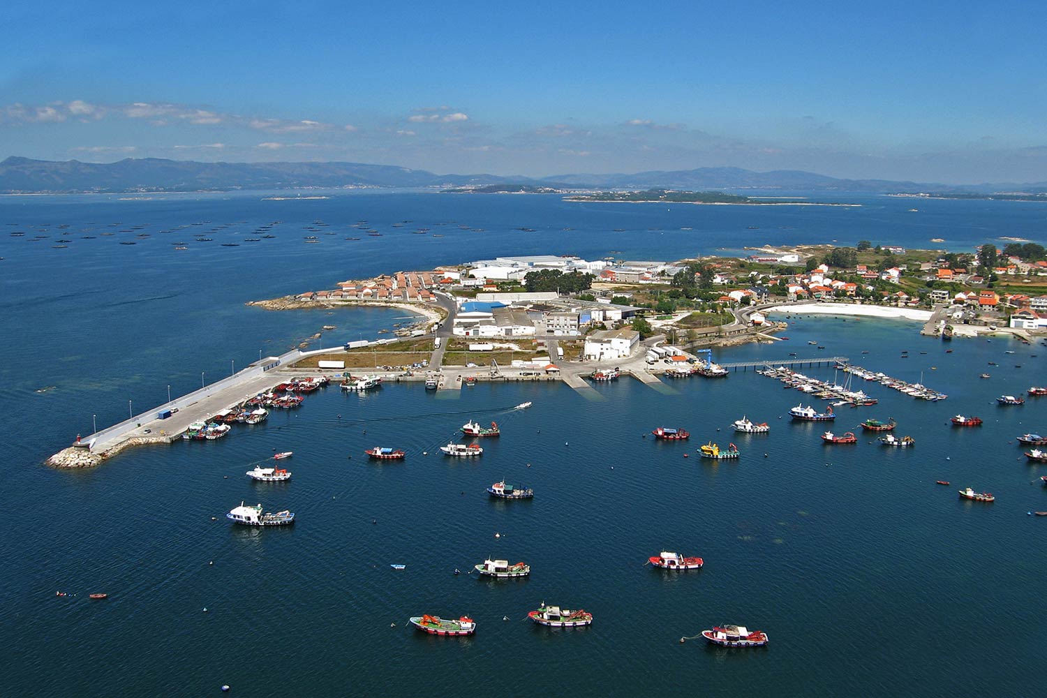 Salidas de pesca deportiva en Barco desde O Porto do Meloxo desde sus playas y espigones