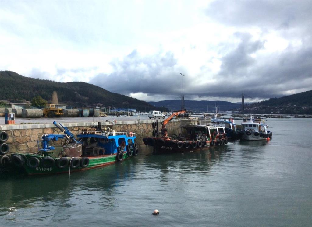 Salidas de pesca deportiva en Barco desde Porto Domaio (Moaña) desde sus playas y espigones