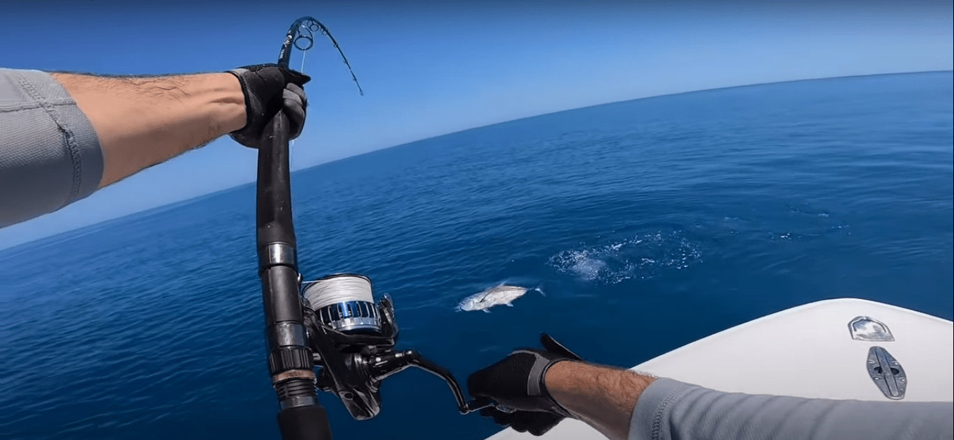 Salidas de Pesca en Barco - Charters de Pesca