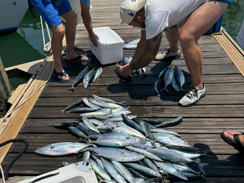 Charter de pesca Mazagón, Huelva (1)
