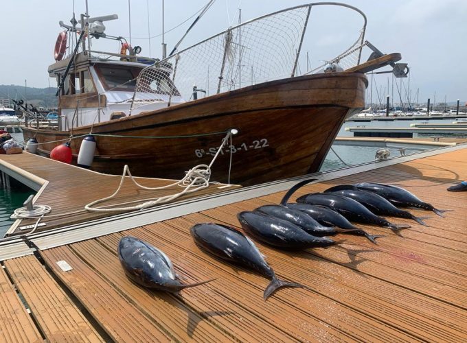 Capitan Charter te ofrece el mejor alquiler de barcos de pesca deportiva para que pases una aventura de pesca inolvidable, alquiler barco de pesca en España
