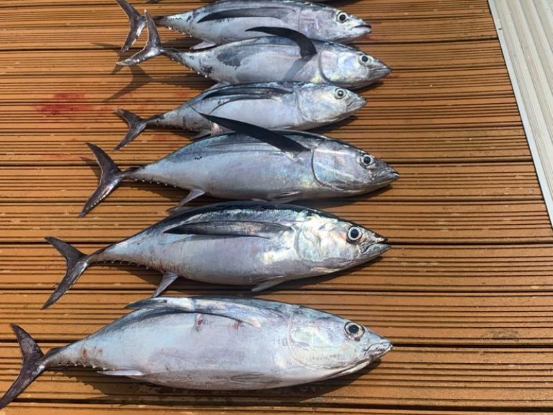 Pesca costera en Familia desde Laredo, Cantabria