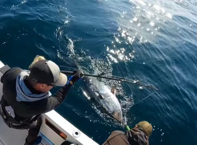 Charter de pesca y paseo Chiclana (2)