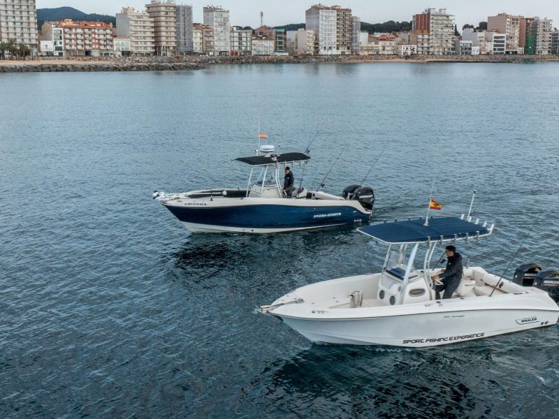 Pesca en barco Palamós (5-5)
