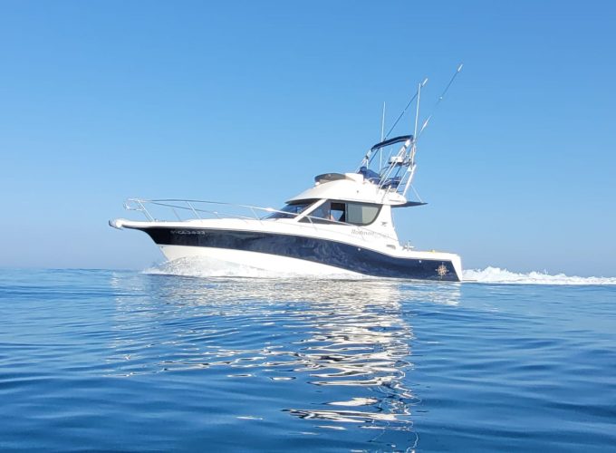 Curricán Costero o Jigging desde Sotogrande