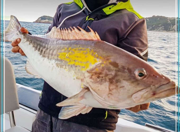 Pesca deportiva Javea