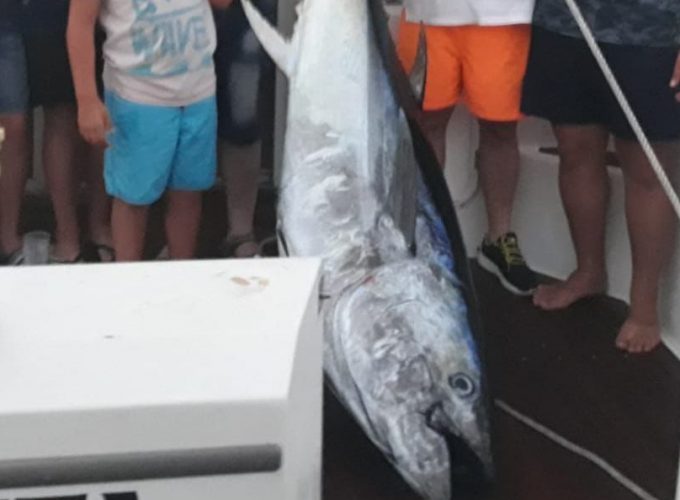 capturas de pesca del atun - charters de pesca deportiva desde el puerto de chipiona (2)