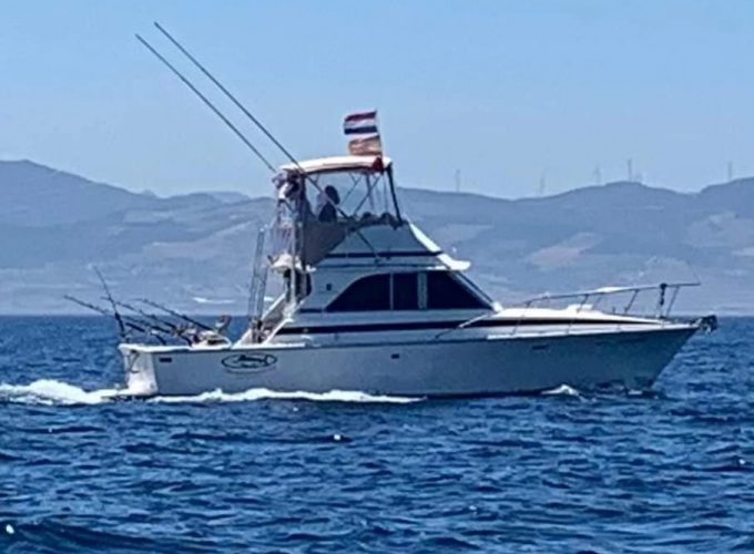 PESCA DE ALTURA MARLIN BLANCO, MARLIN AZUL O ATÚN ROJO