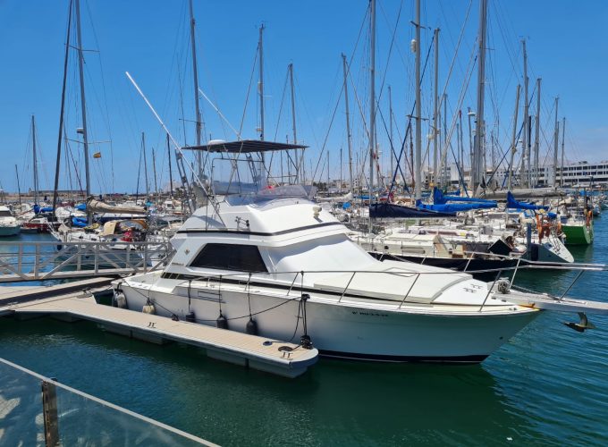 Pesca de Altura en Lanzarote, marlin azul, marlin blanco y atún