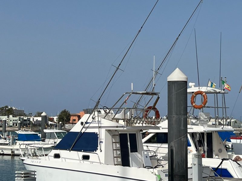 Pesca al vivo en Corralejo, Las Palmas (3)