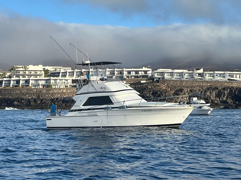 Alquiler barco para pesca en Lanzarote (20)